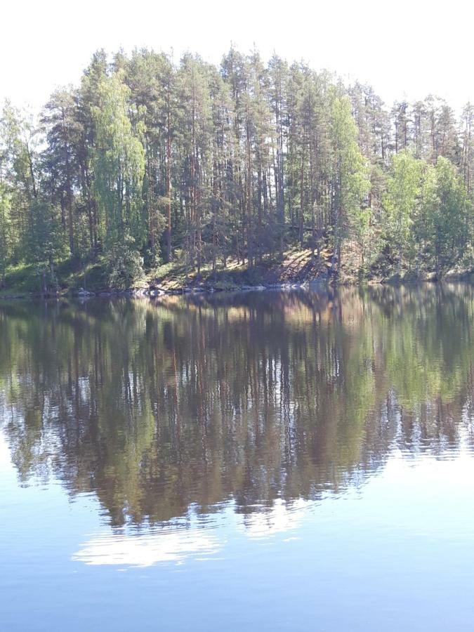 Mini-Mani Northern House Sorsakoski 外观 照片